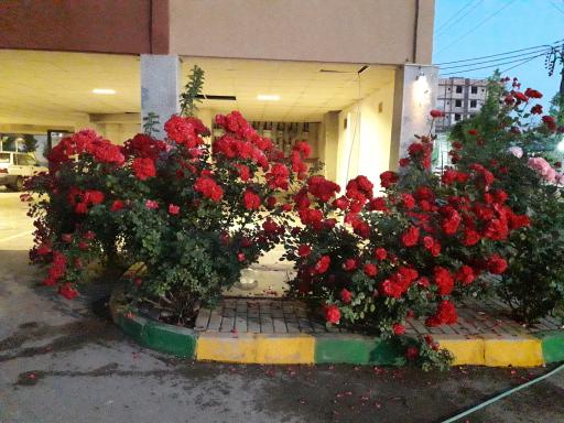 عکس مجتمع مسکونی آراراد