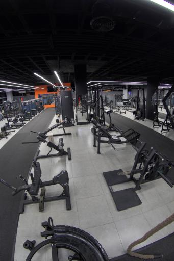 عکس باشگاه آرسس