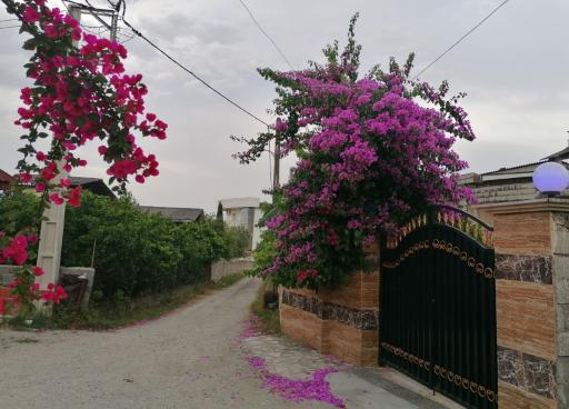 عکس آموزشگاه زیست شناسی 