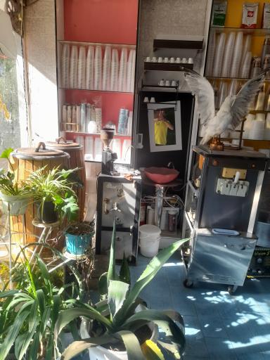 بستنی سنتی مکرمی مایوان