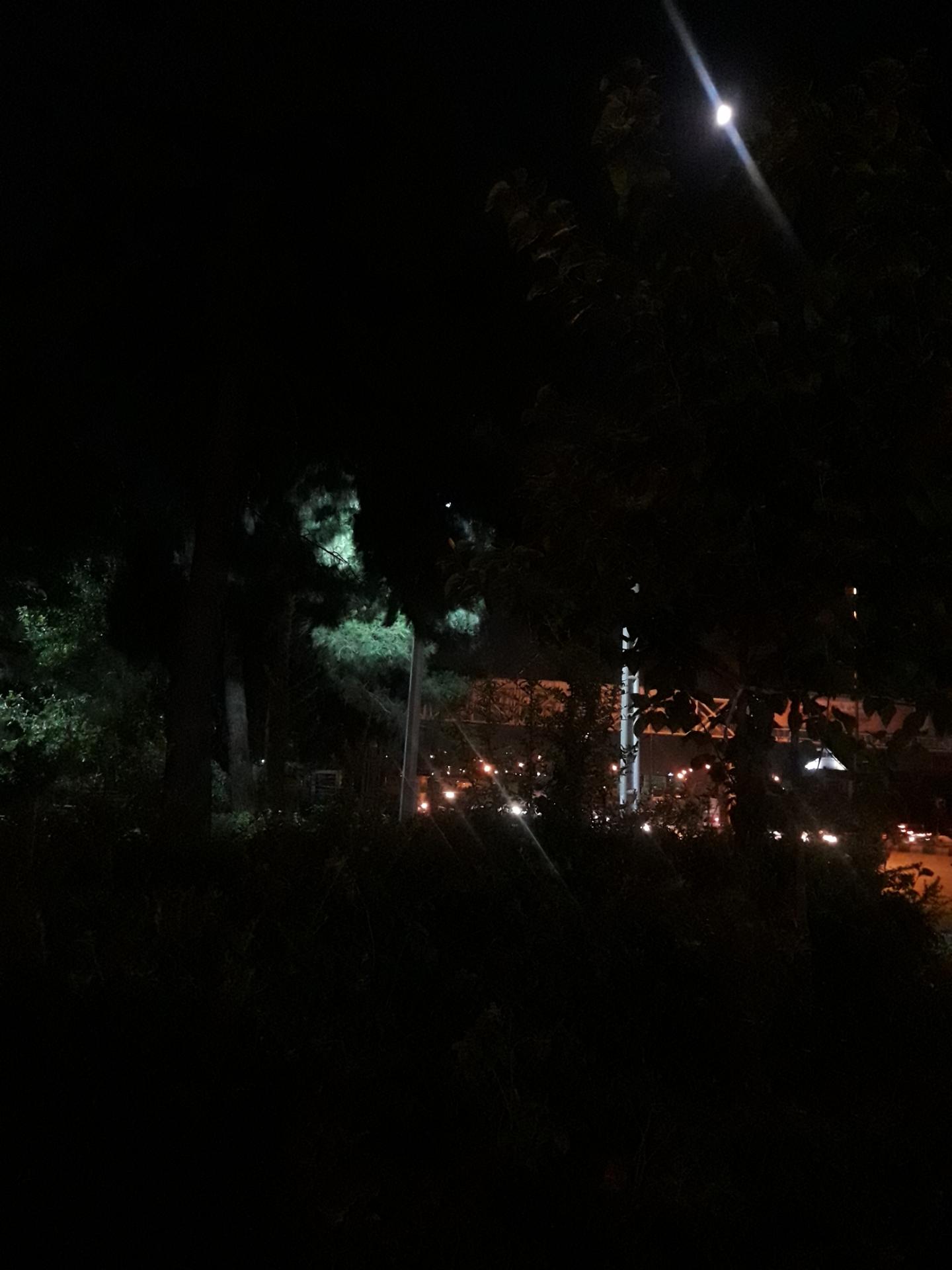 عکس پارک نازنین