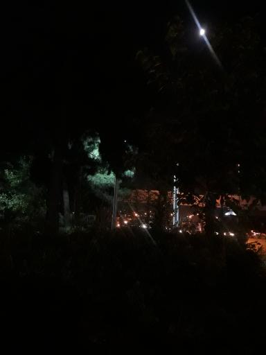 عکس پارک نازنین