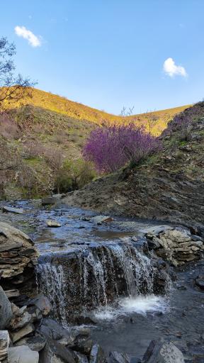 عکس برکه عمو محسن