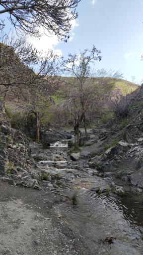 عکس برکه عمو محسن