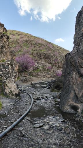 عکس برکه عمو محسن