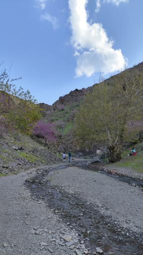 عکس برکه عمو محسن