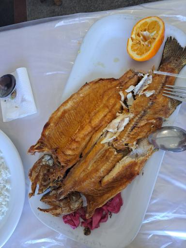 عکس اکبر جوجه سرخرود