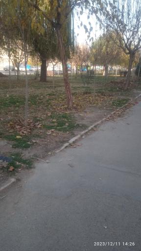 عکس پارک شفق