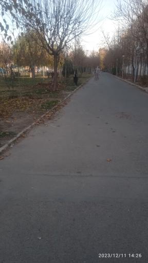 عکس پارک شفق