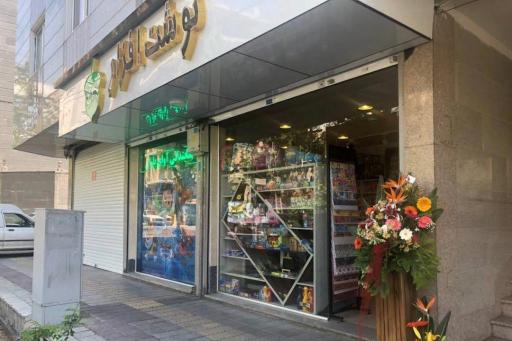 نوشت افزار بلوط