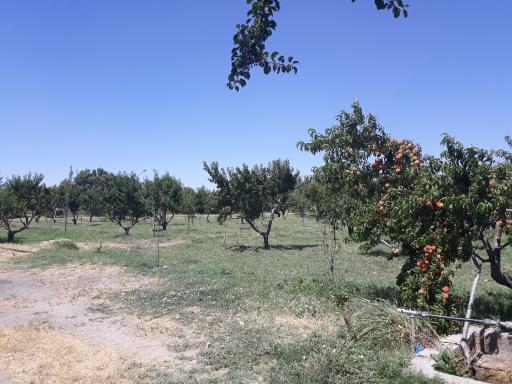 هنرستان کشاورزی شهیدان کرمی مراغه