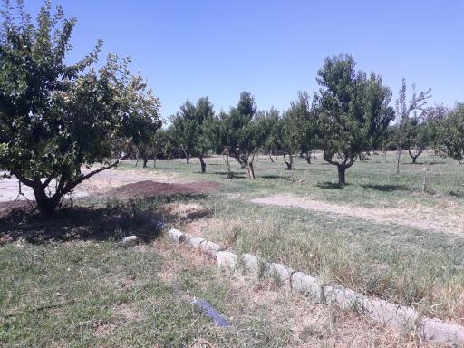 هنرستان کشاورزی شهیدان کرمی مراغه