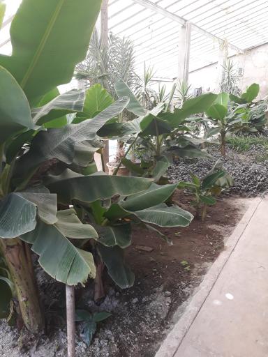 عکس هنرستان کشاورزی شهیدان کرمی مراغه