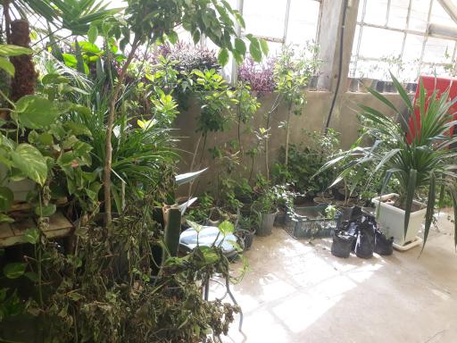 عکس هنرستان کشاورزی شهیدان کرمی مراغه