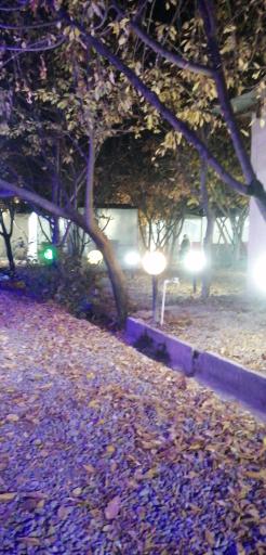 عکس سفره خانه دنج