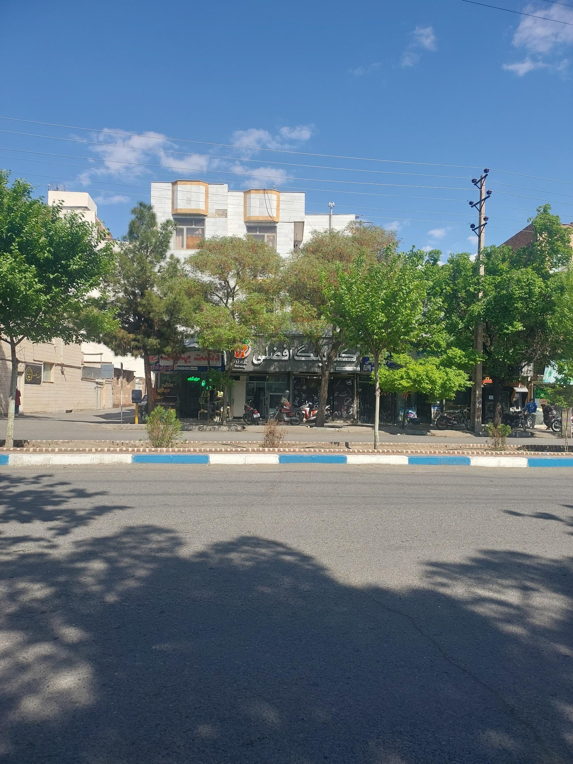 عکس کترینگ افضلی