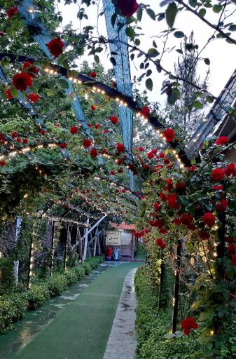 عکس رستوران سنتی هزار و یک شب (باغ سبز سابق)