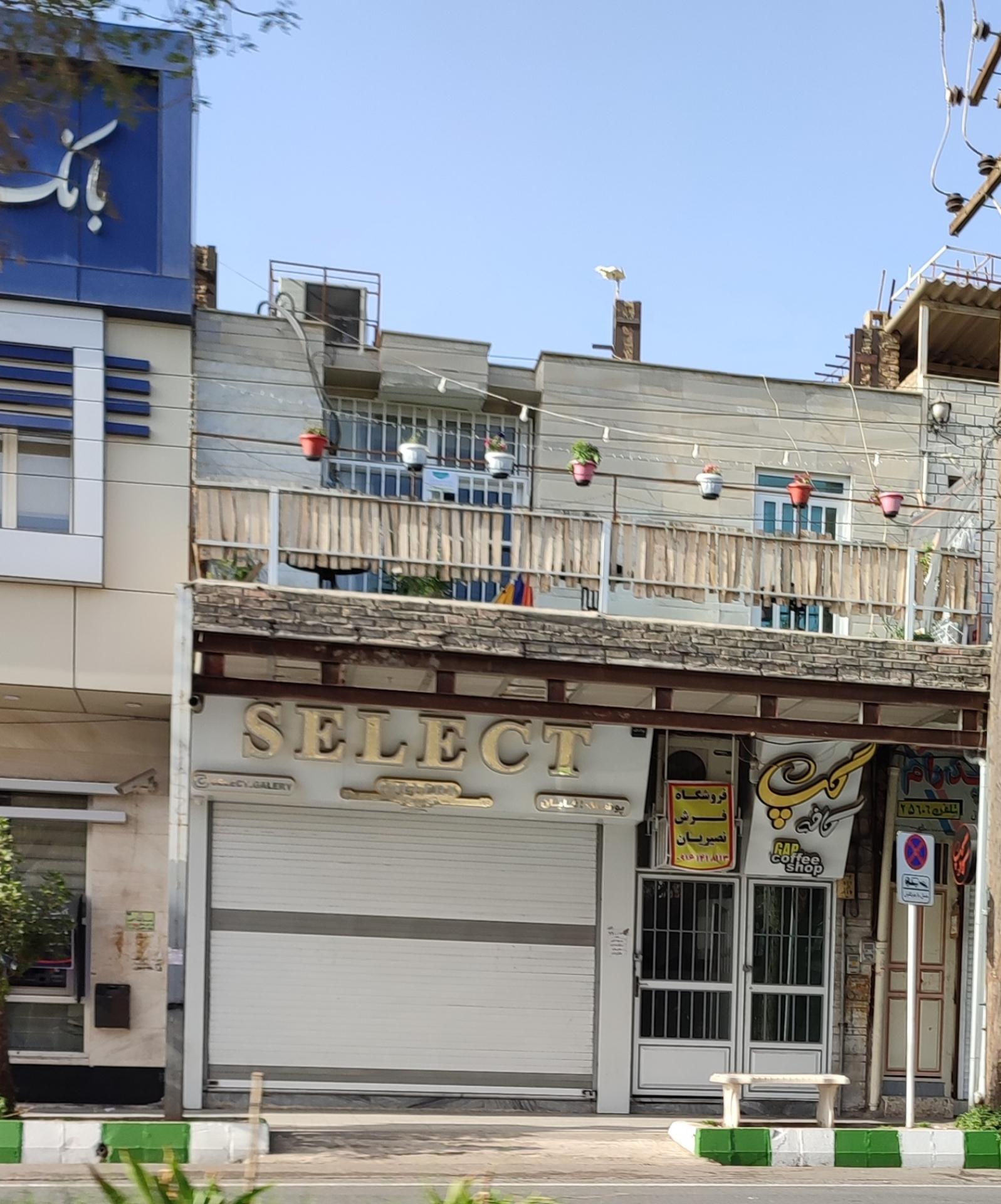 عکس فروشگاه فرش نصیریان