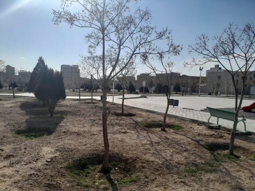 عکس فضای سبز محله