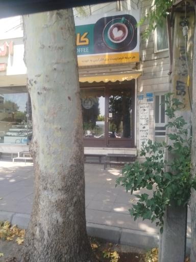 عکس کافه چ
