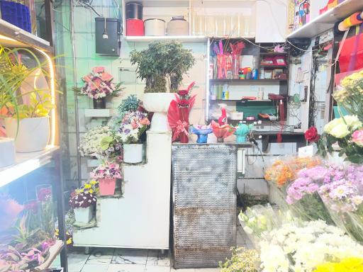عکس گل یخ