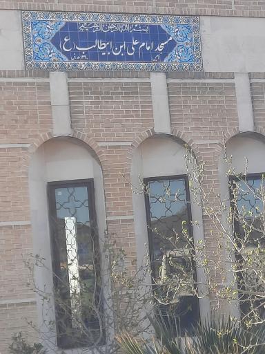 عکس مسجد امام علی