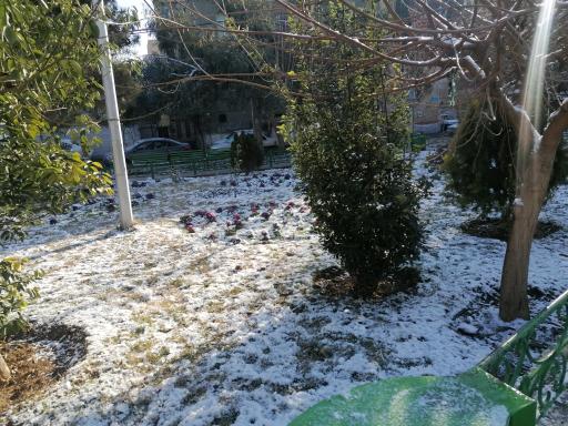 عکس بوستان مریم