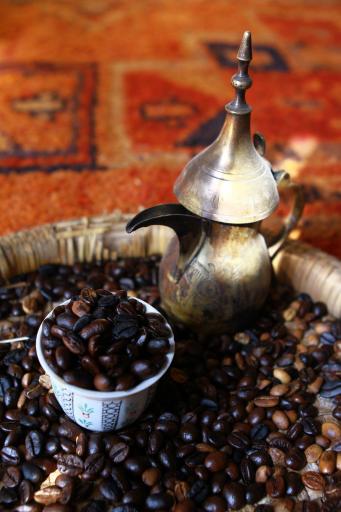 عکس مضیف بردیه 