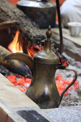 عکس مضیف بردیه 