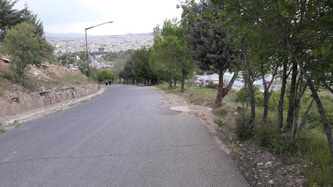 عکس پارک جنگلی توس نوذر