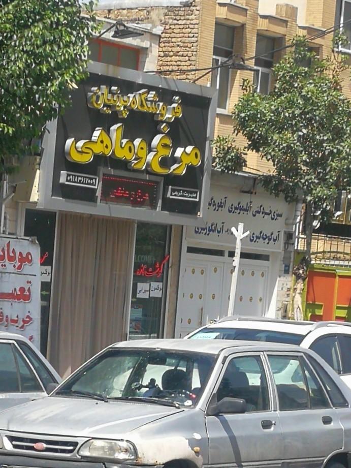 عکس مرغ و ماهی حسین کریمی