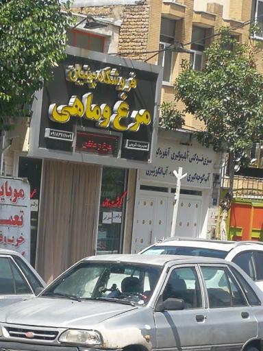 عکس مرغ و ماهی حسین کریمی