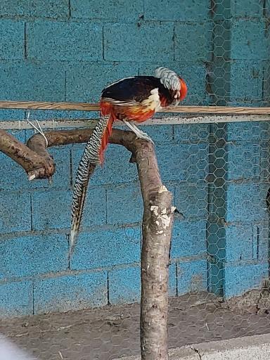 عکس مجتمع تفریحی هفت اقلیم