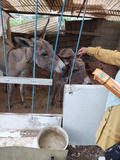 عکس مجتمع تفریحی هفت اقلیم