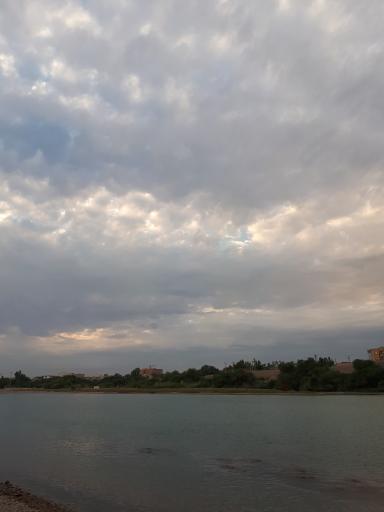 عکس بوستان داریون