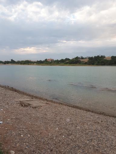 عکس بوستان داریون