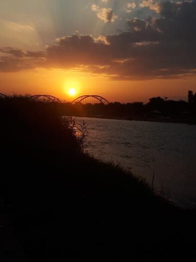 عکس بوستان داریون