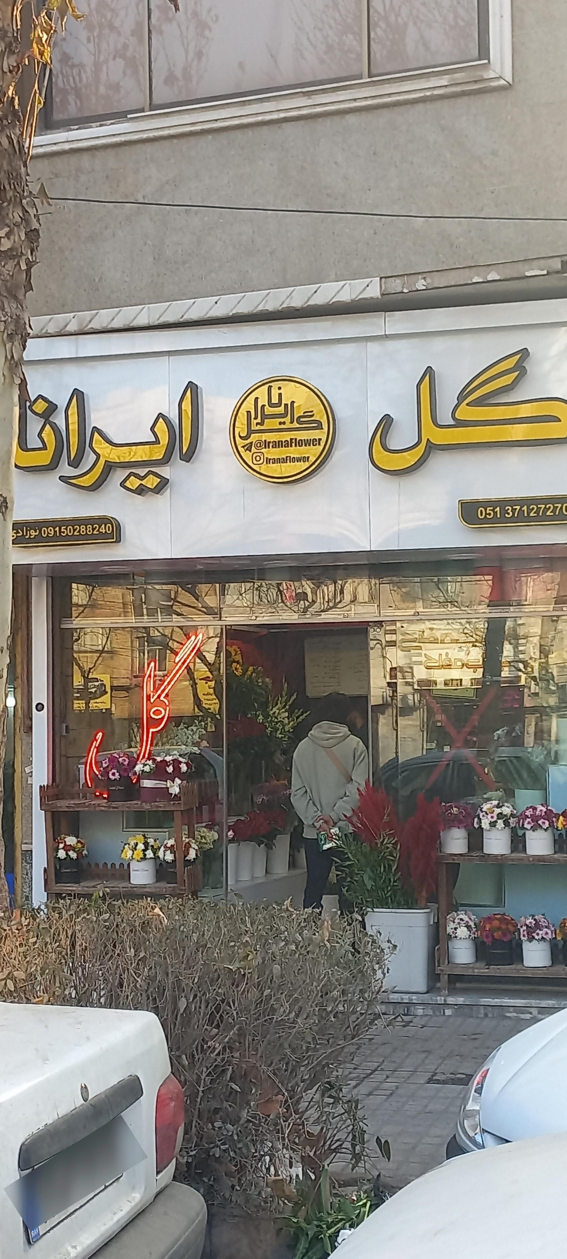 عکس گل ایرانا