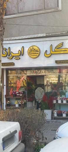 عکس گل ایرانا