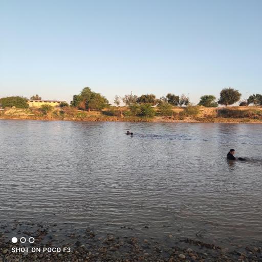 عکس بوستان داریون