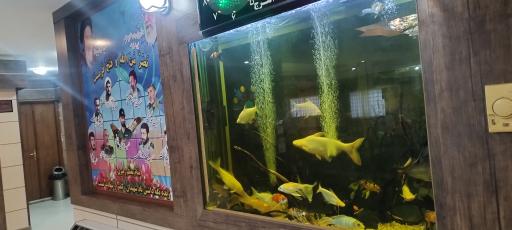 عکس مجتمع آموزشی رفاهی الزهرا (س)