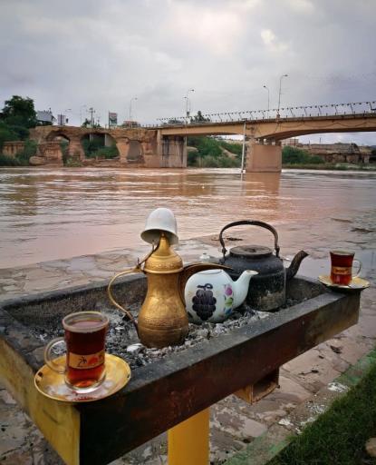 بوستان داریون