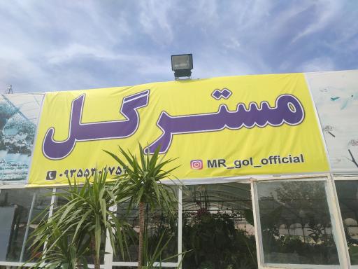 عکس گلخانه مستر گل