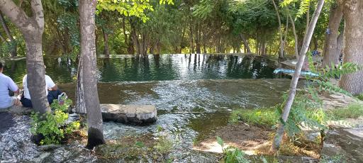 عکس پارک جنگلی توس نوذر