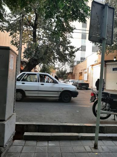 عکس درختی
