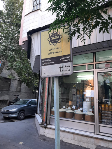 عکس درختی