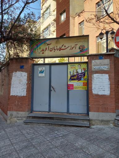 عکس آموزشگاه زبان آوید