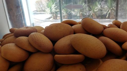 کلوچه سیستان