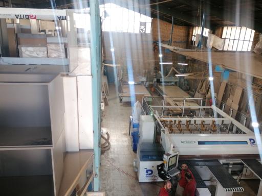 عکس تاک چوب 