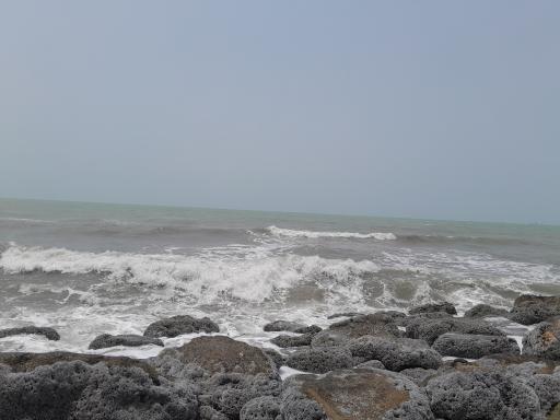 عکس حوضچه قایقرانی